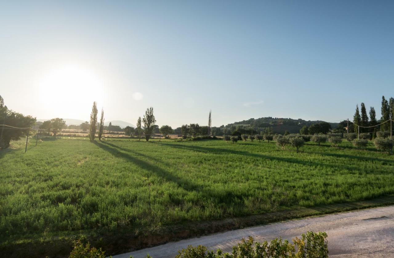 Bed and Breakfast Bed & Breakfast Al Pian d'Assisi Exterior foto