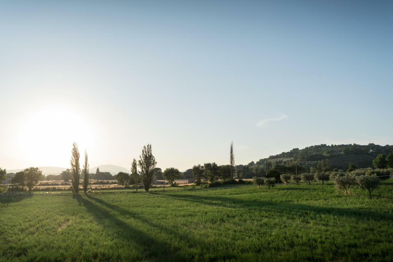 Bed and Breakfast Bed & Breakfast Al Pian d'Assisi Exterior foto