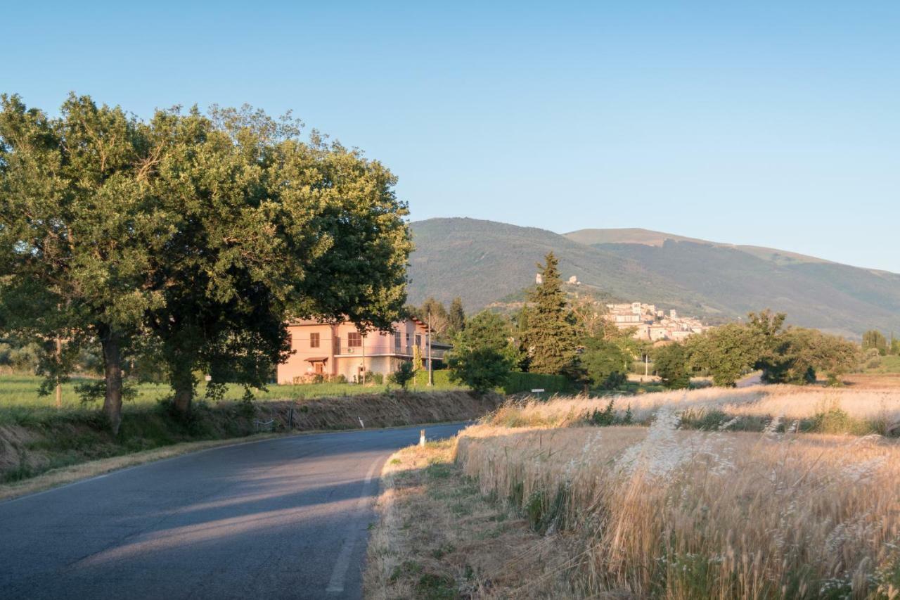 Bed and Breakfast Bed & Breakfast Al Pian d'Assisi Exterior foto